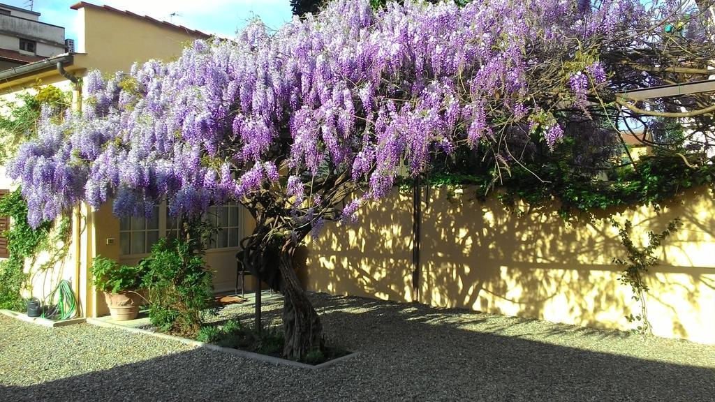 Villino Fiorentino Firenze Kültér fotó